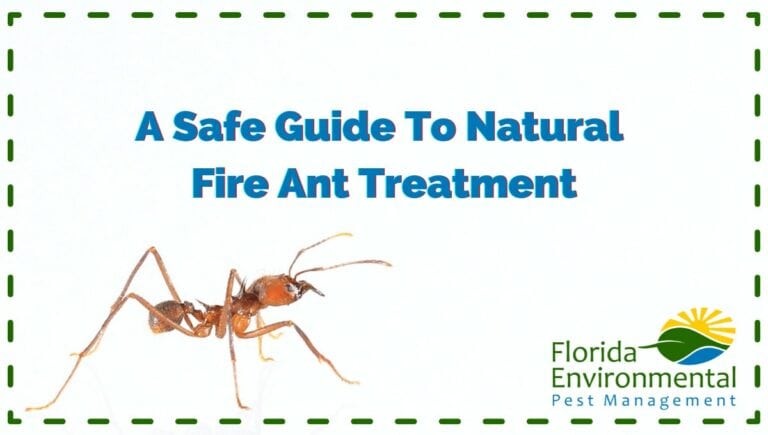 fire ant treatment