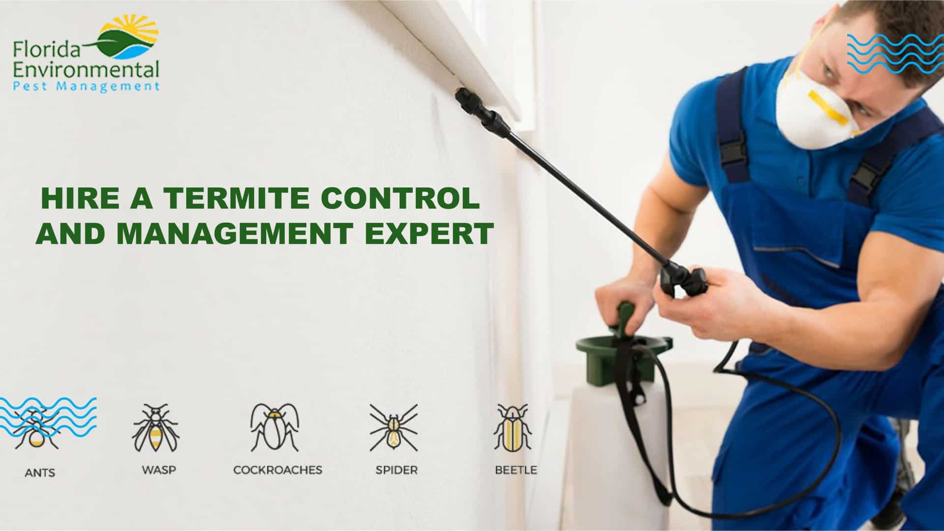 termite control expert