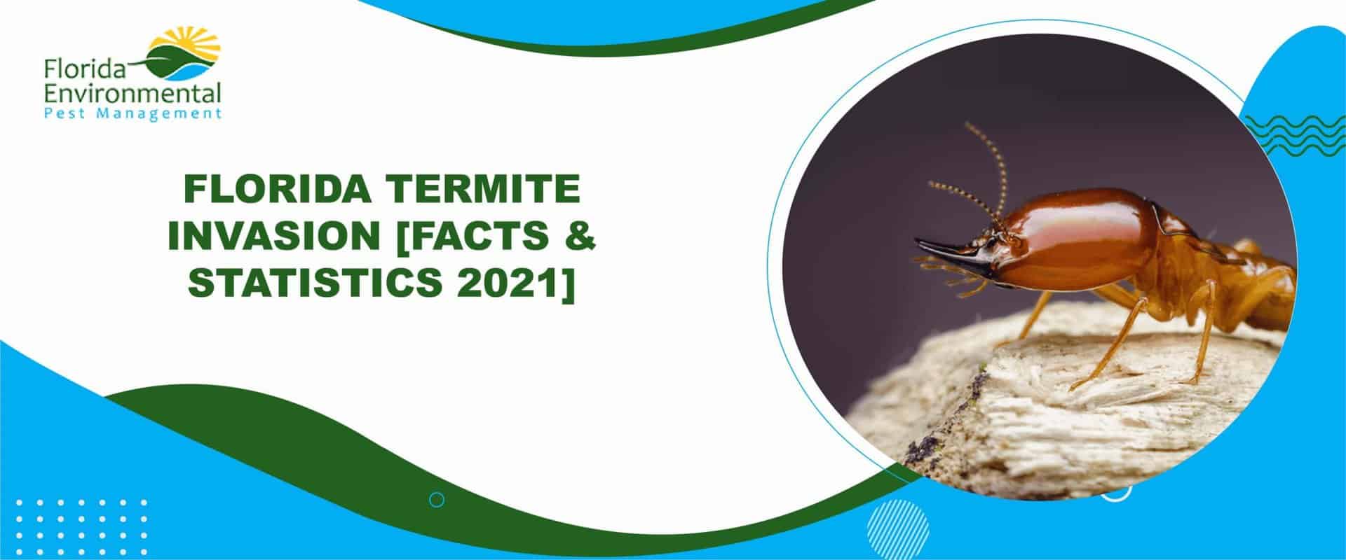florida termite statistics 2021
