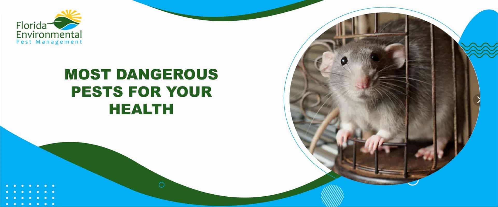 dangerous pests for your health