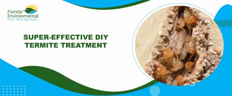 effective diy treatments for termites