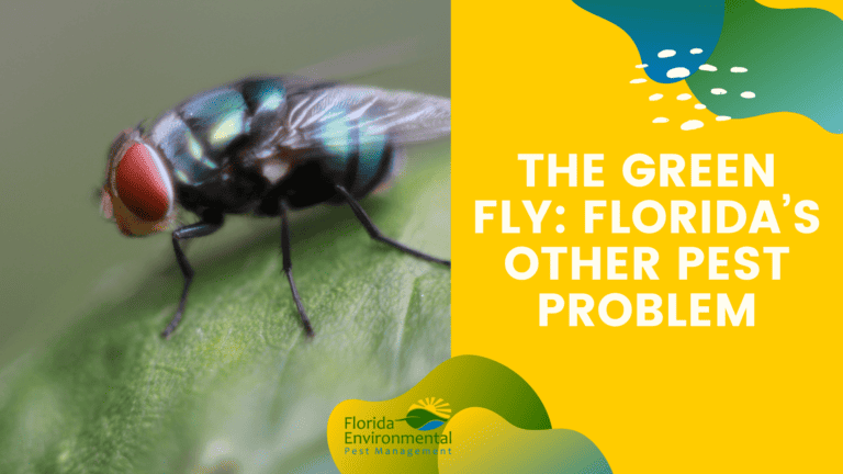 The Green Fly Florida’s Other Pest Problem