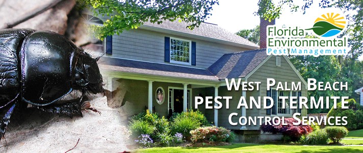 West Palm Beach Pest Control 561-708-4090