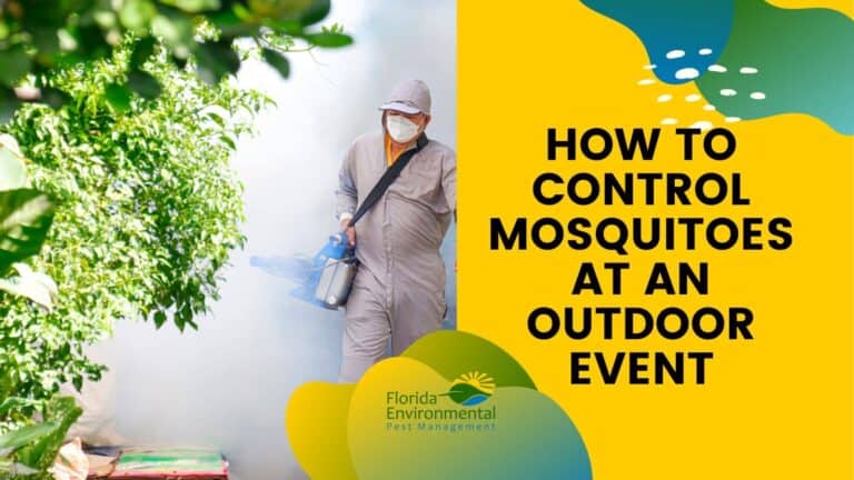 How-To-Control-Mosquitoes-At-An-Outdoor-Event