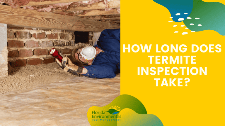 how long does termite inspection take