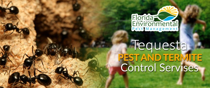 Tequesta Pest Control